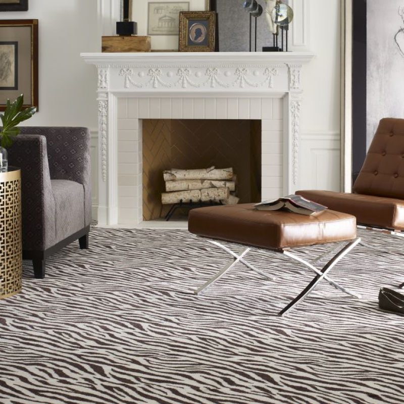 zebra pattern carpet